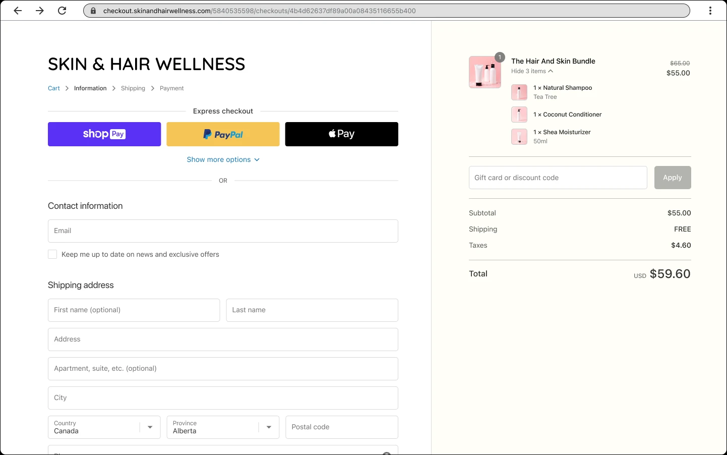 Shopify checkout showing products, costs and payment options
