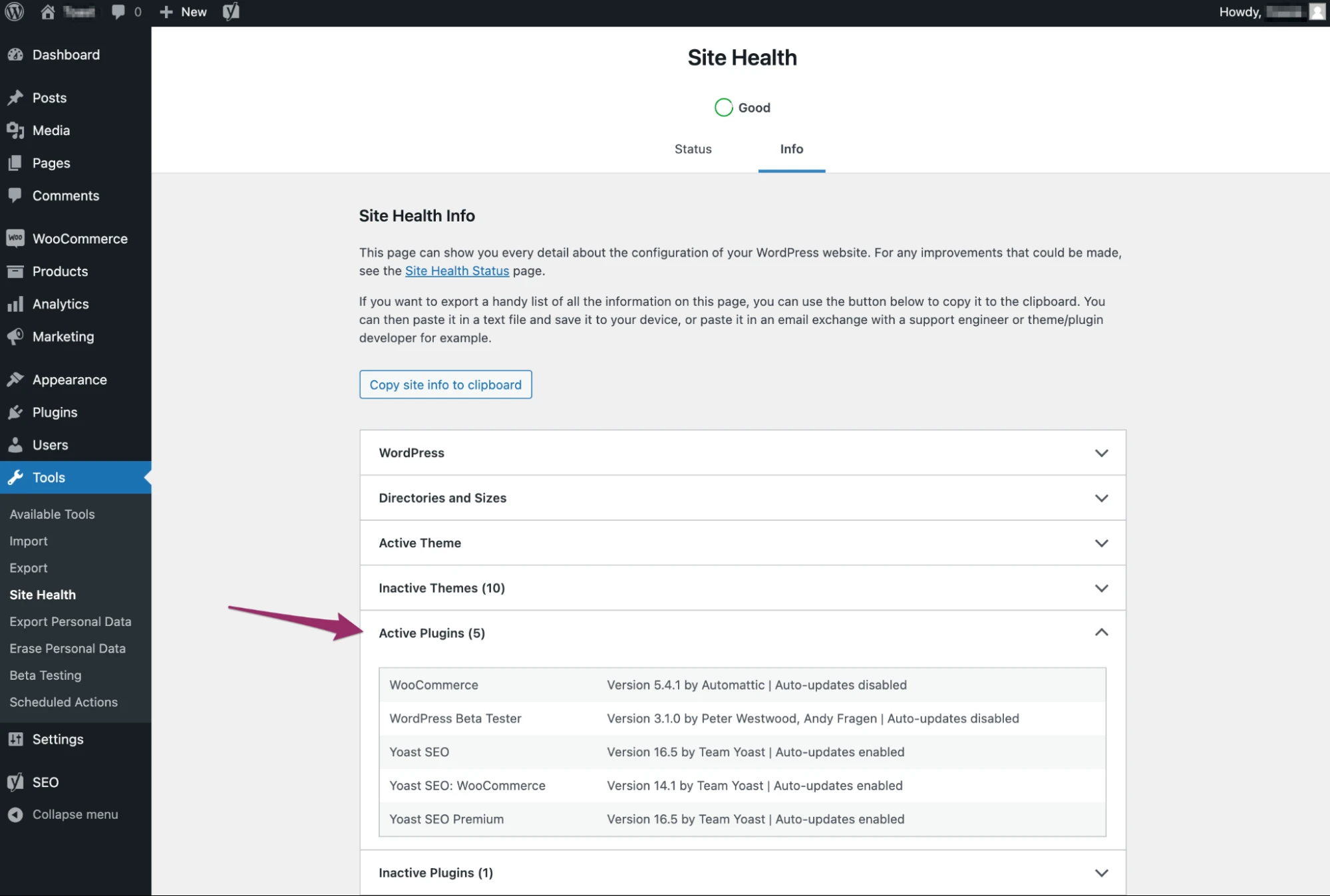 WordPress Site Health screen listing active plugins